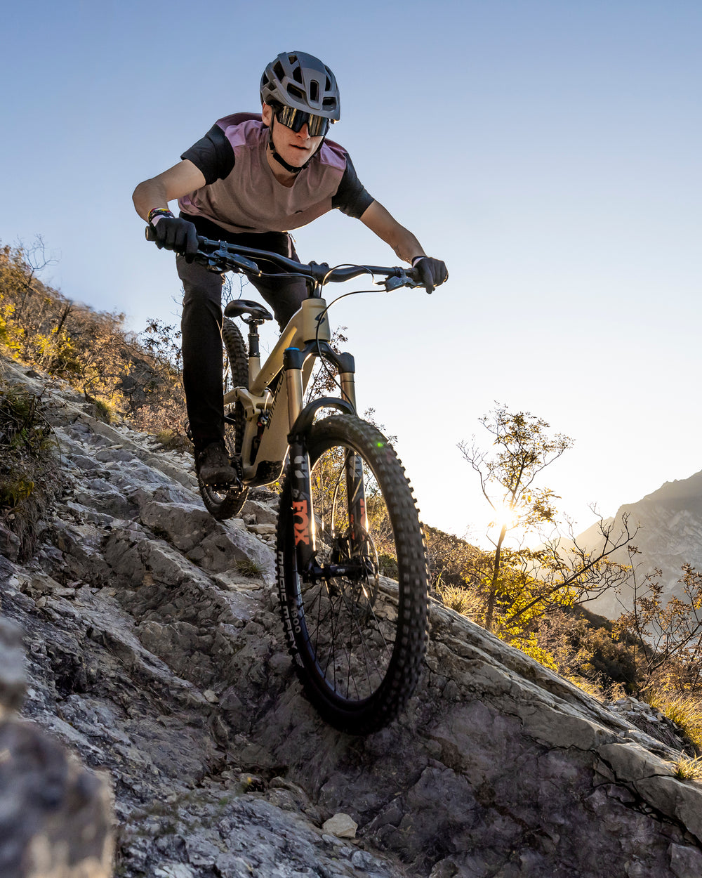 Mountainbike
